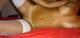 Foto privada de studentessa_90